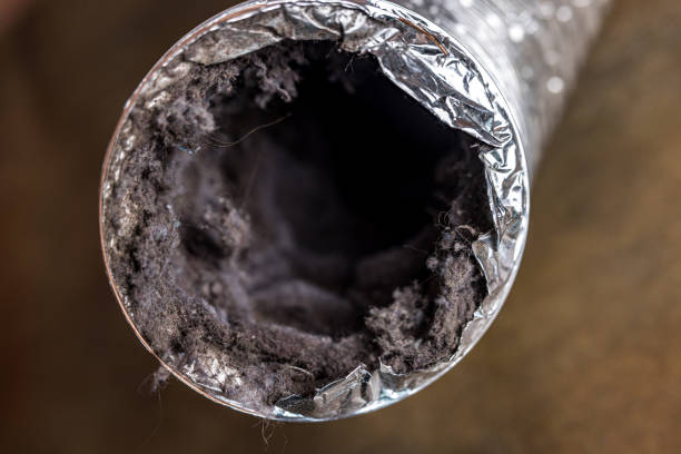 Best Best Air Duct Cleaning Company  in Sudan, TX