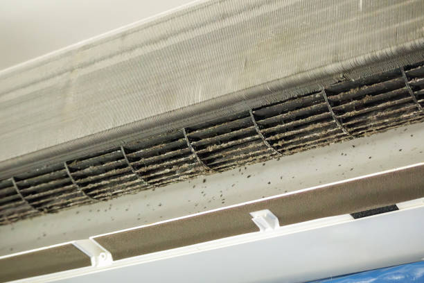 Best Ventilation Cleaning Services  in Sudan, TX